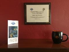 SOAR chapter 2016 Chapter Award, Silver