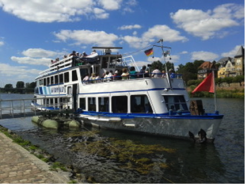 cruise cruise
