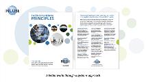 INCOSE_SE_Principles_ZoomBackground