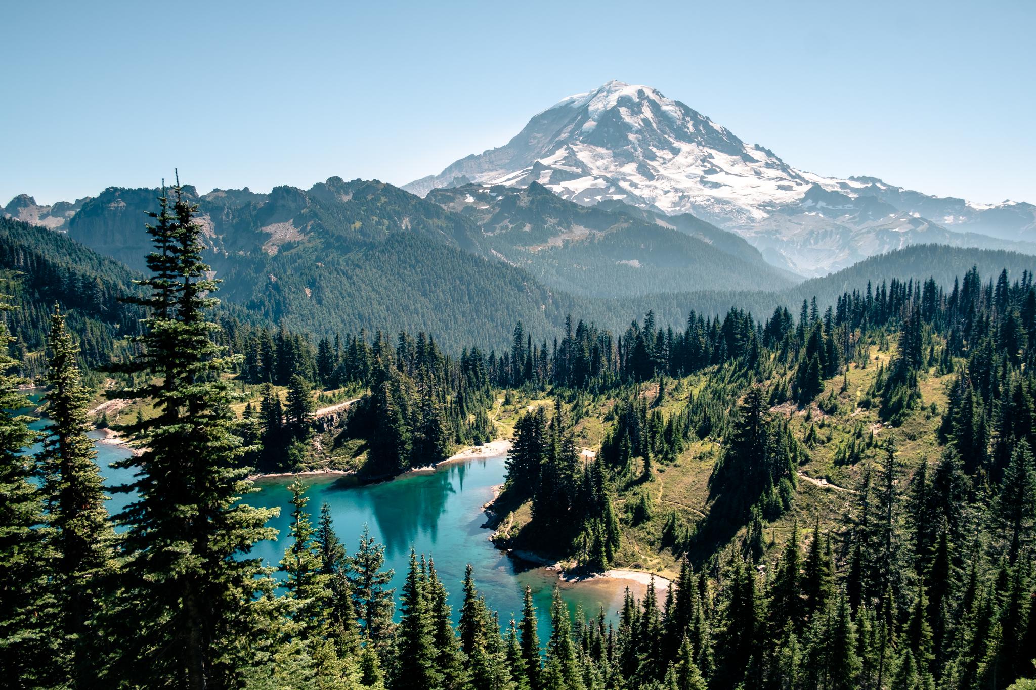 iStock_1130537468