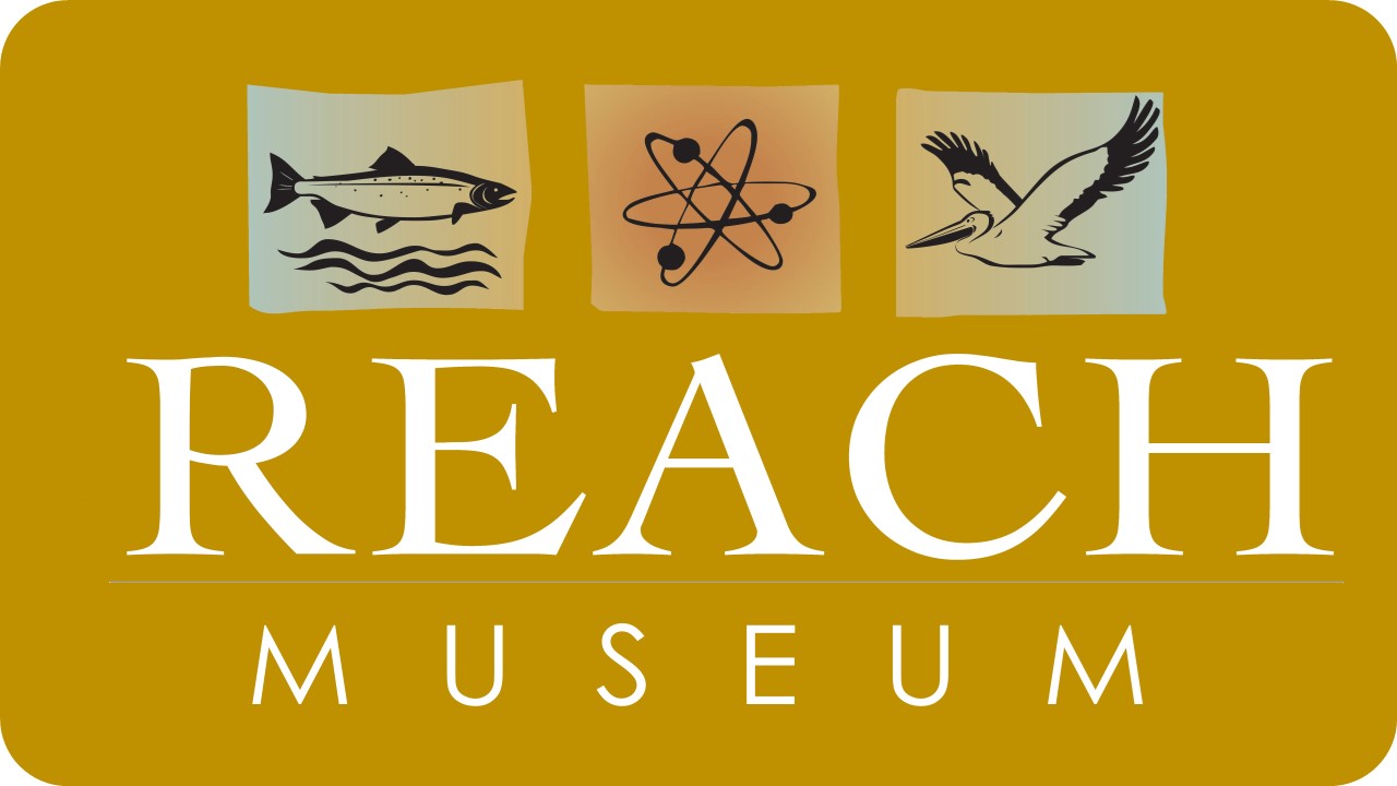 ReachMuseamLogo