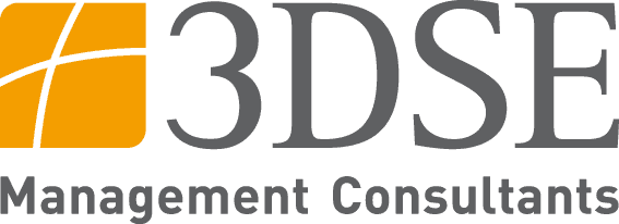 3DSE Management Consultants