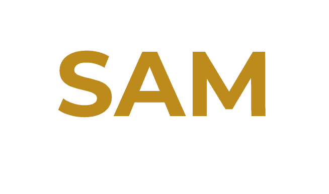 Ansys – SAM